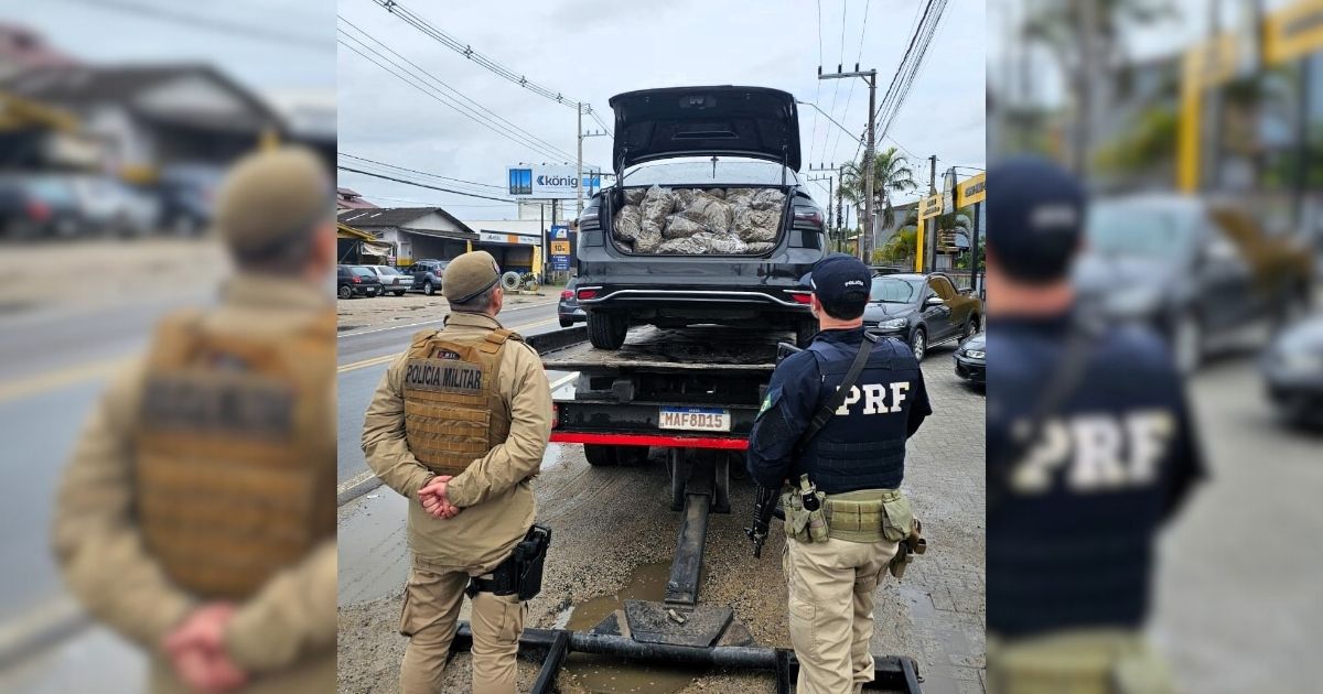 Leia mais sobre o artigo Prejuízo ao tráfico: carro abandonado guardava 47 kg de skunk em SC