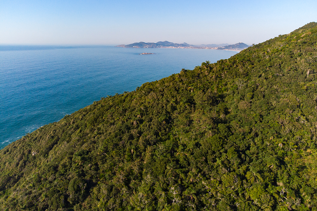 Leia mais sobre o artigo Inscrições abertas para eleições do Conselho Municipal do Meio Ambiente (COMDEMA)